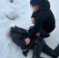 Обман матери погибшего участника СВО на 5 млн рублей предотвращен полицейскими Кизильского района. - Кизильский вестник